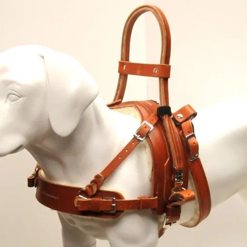 Balance Assistance Harness™ for service dogs